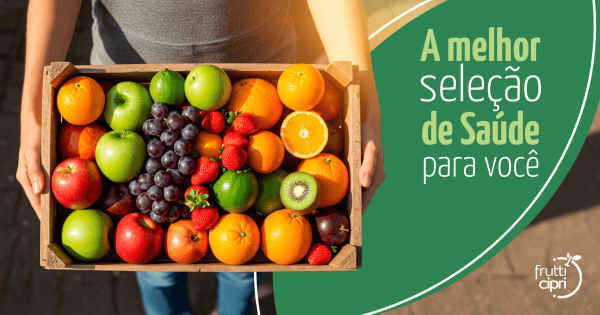 Frutticipri Logistica