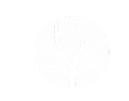 logo-negativo-dra-tammy 1