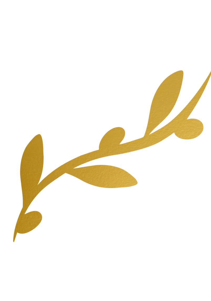 ZAYIT_04_png 1