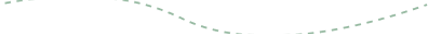 Vector 4